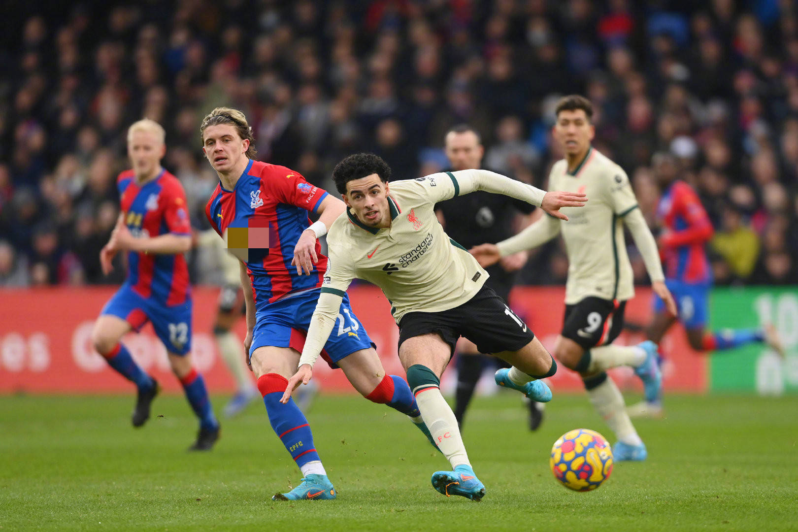 将他们的总 将他们的总